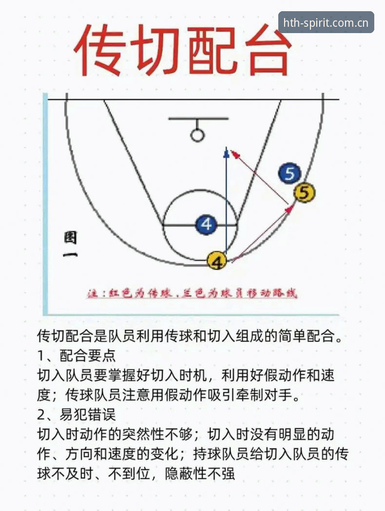 华体会体育互动 华体会体育互动实用指南:从新手到高手的必备知识与技巧